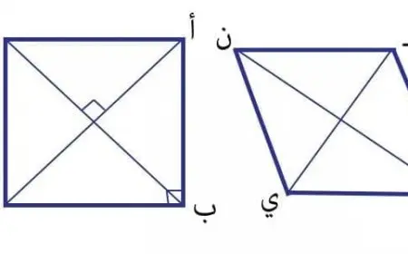 ما هو محيط المربع ومساحته