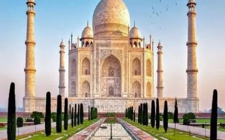 الزيارات الميدانية في الخدمة الاجتماعية