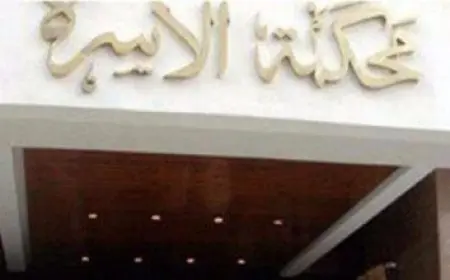 الاستعلام عن رخصة سيارة