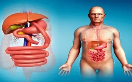 أفضل اكل للمعدة الملتهبة