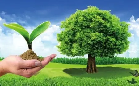 أهمية المحافظة على البيئة من التلوث