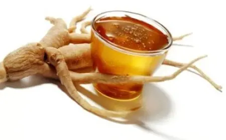 فوائد الجنسنج مع العسل