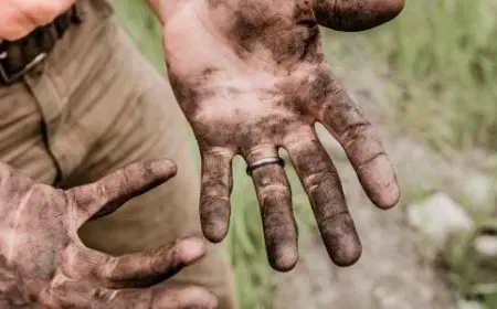 حكمة عن العمل والجد