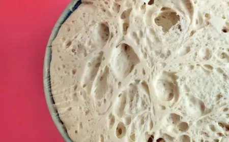 أفضل خميرة فورية للمعجنات