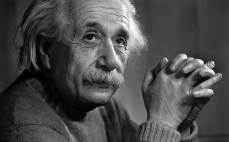 عباقره فقدوا نعمه البصر وكانوا مبدعين في مجال اعمالهم