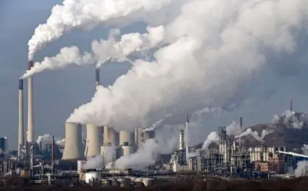 المشكلات البيئية التي تعاني منها بعض المدن