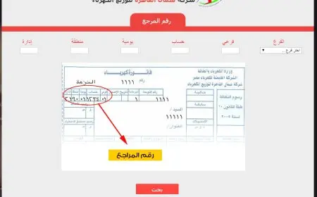 الاستعلام عن فاتورة الكهرباء شمال وجنوب الدلتا