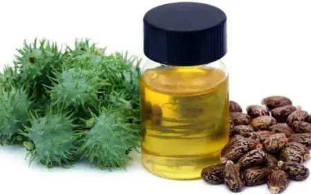 متى ينتهي مفعول زيت الخروع