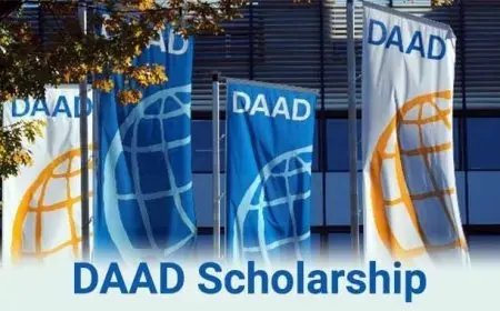 منح دراسية بدون شرط اللغة 2024