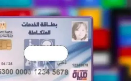 الكشف عن مخالفات المرور المصرية برقم السيارة