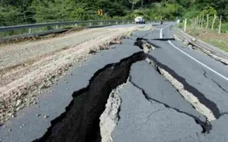 عدد سكان الكويت الأصليين