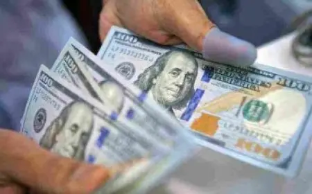 ندين تحسين بيك حياتها وأعمالها الفنية