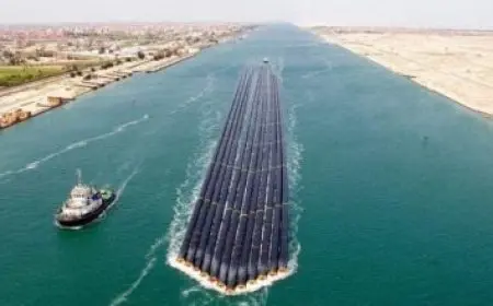 من هو الإمام الشافعي