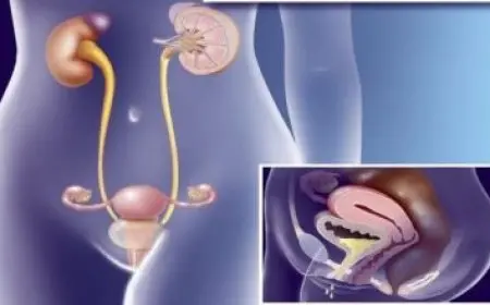 أفضل دواء لعلاج المعدة