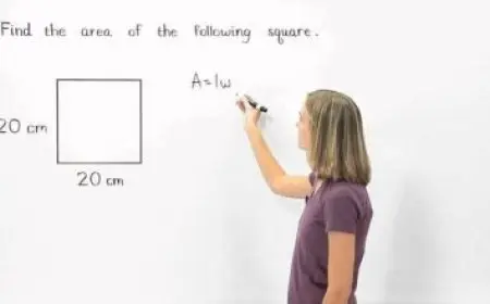 كلية علوم جامعة القاهرة وأقسامها