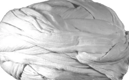 ماهي أسماء الابل عند البدو؟