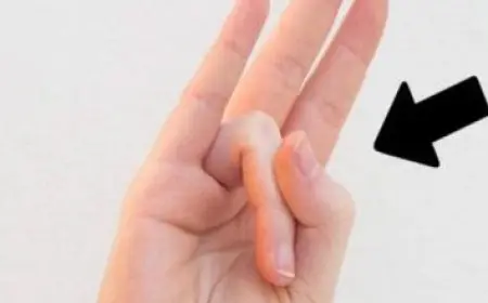 ترتيب الجيش الشيشاني على العالم 2025