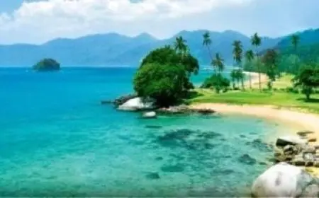 ما هي العلاقة بين الطول الموجي والتردد وسرعة الضوء؟