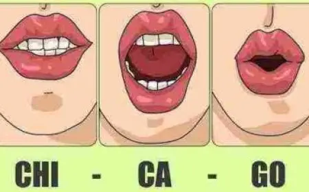 مميزات وعيوب جامعة مصر للعلوم والتكنولوجيا 2025