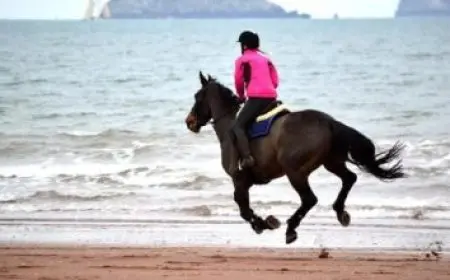 تعبير عن قدوتي في الحياة أبي