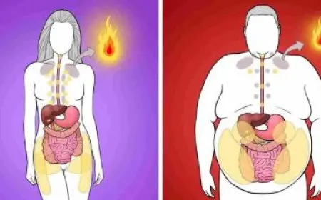 أضرار نخاع أنثى الجمل وفوائده