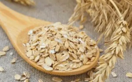 ما معنى monocytes في تحليل الدم