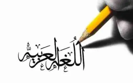 عدد المتكلمين باللغة العربية في تركيا