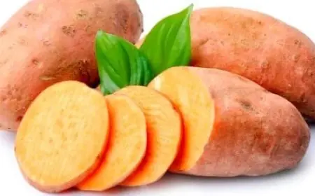 هل البطاطا تزيد الوزن