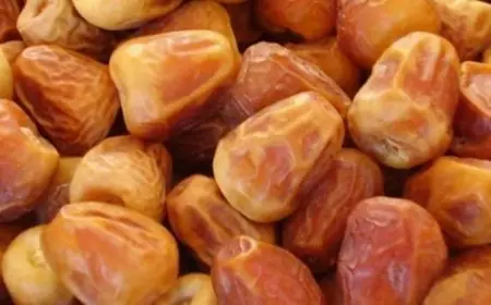 هل التمر السكري يزيد الوزن