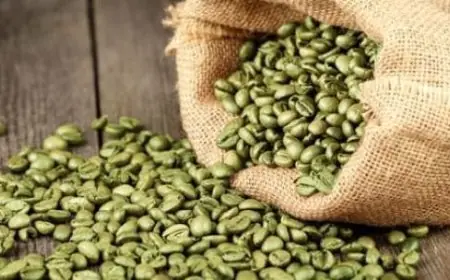 طريقة استعمال حبوب القهوة الخضراء للتنحيف