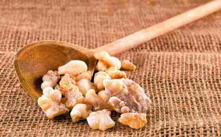 طريقة استخدام لبان الذكر