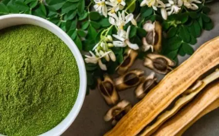 طريقة تحضير شاي المورينجا للتخسيس