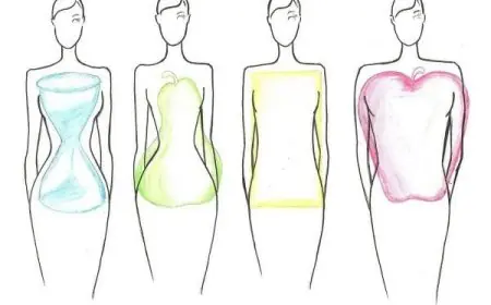 أنواع الأجسام والملابس المناسبة لها