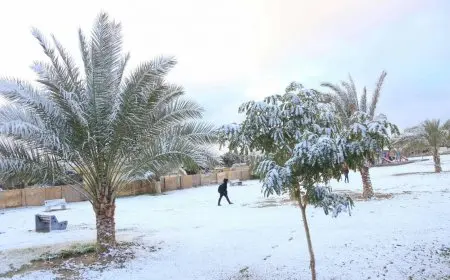 عاجل : عيسى رمضان اليوم أبرد أيام فبراير في الكويت منذ 60 سنة والحرارة 8 حت الصفر في هذه المحافظات