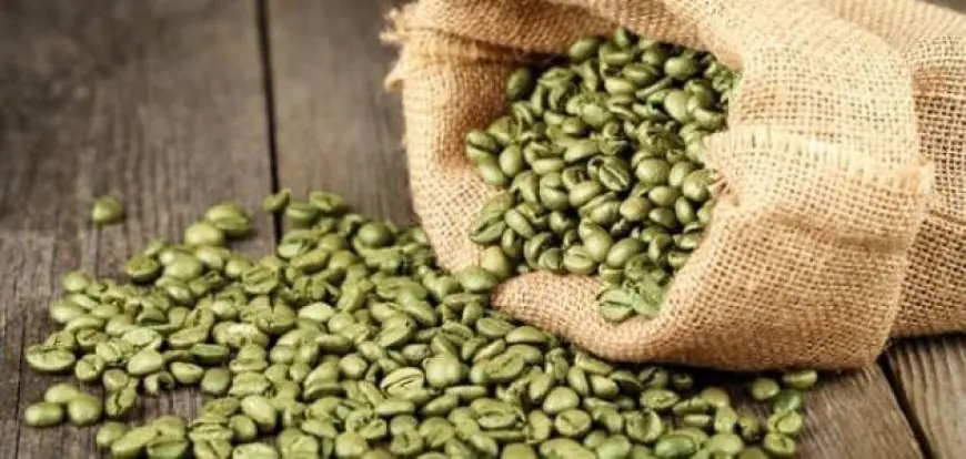 طريقة استعمال حبوب القهوة الخضراء للتنحيف