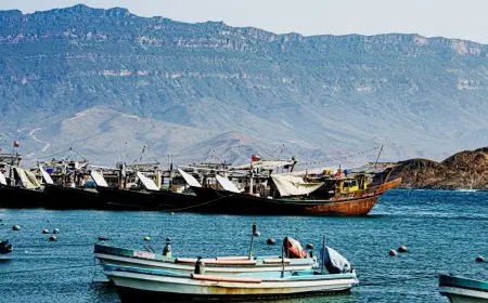 خطوات الحصول على ترخيص قارب صيد إلكترونيا في سلطنة عمان